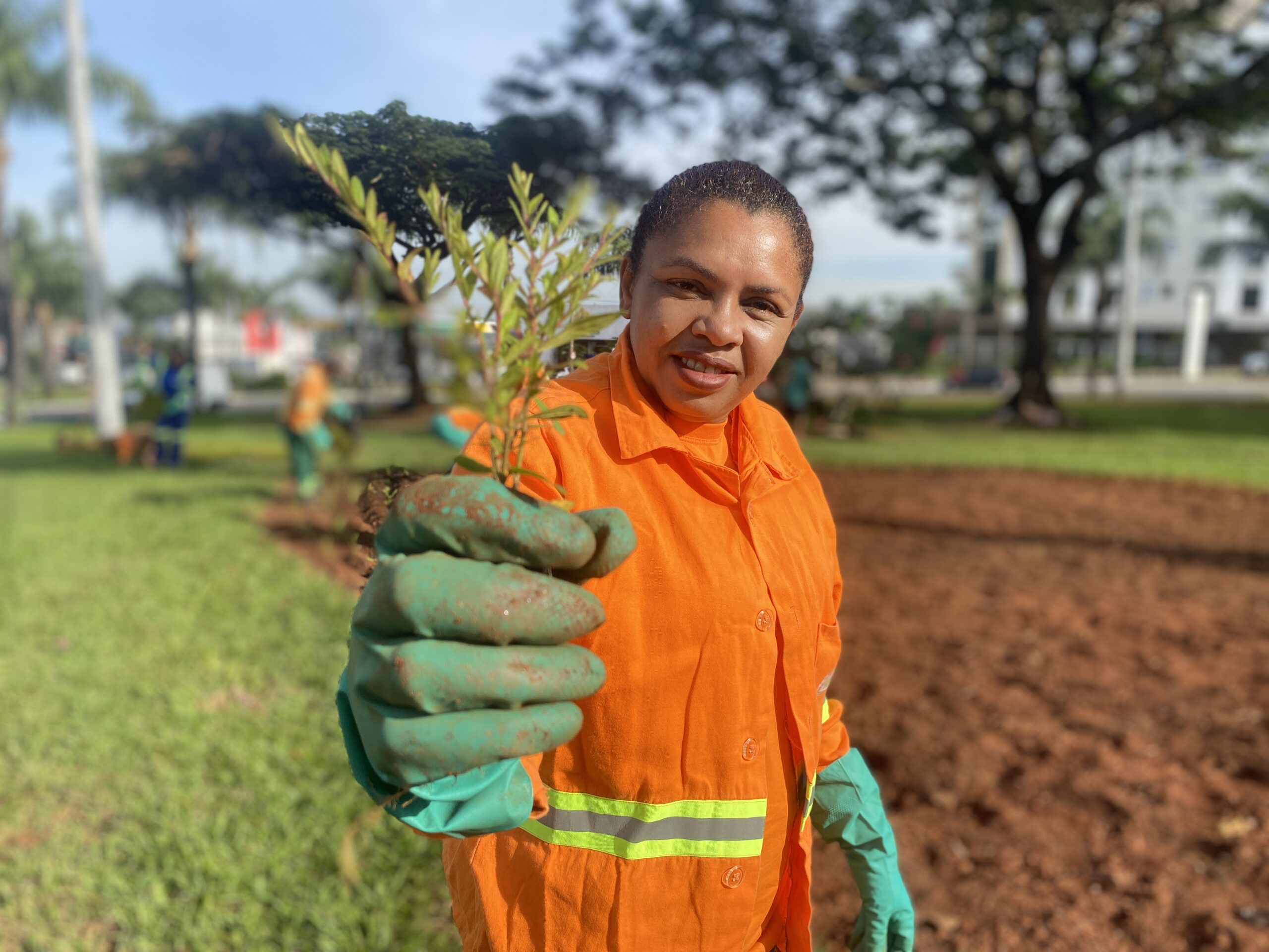 Plantio de Mudas em Goiânia pela Comurg