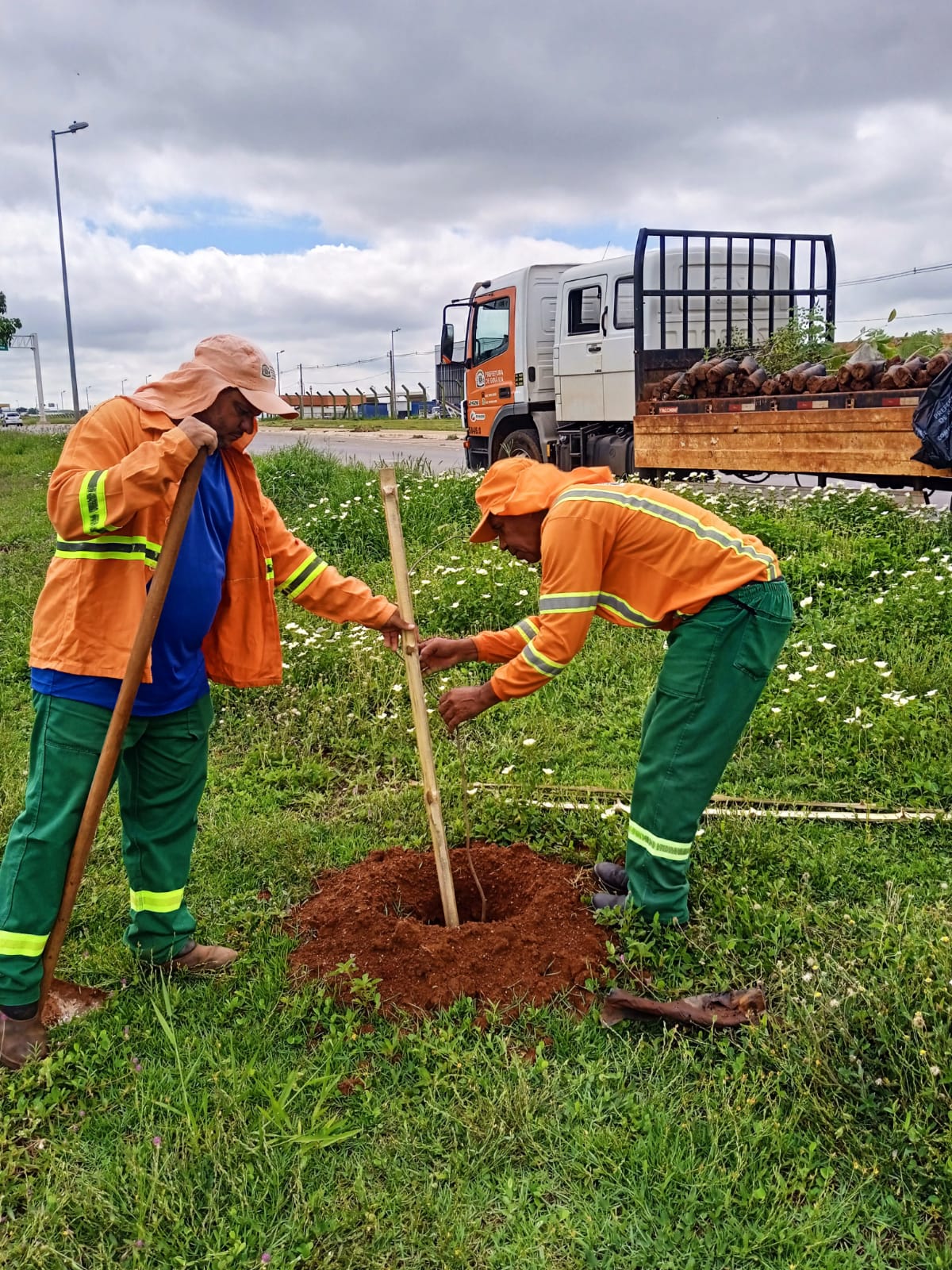 Comurg planta 20 mil árvores em Goiânia
